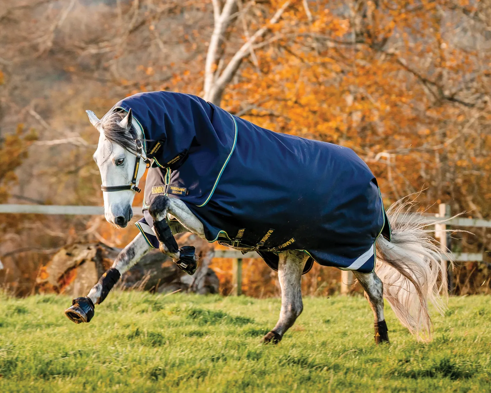 Horseware® Ireland Rambo® Duo Force 2.0 Turnout Blanket - Image 2
