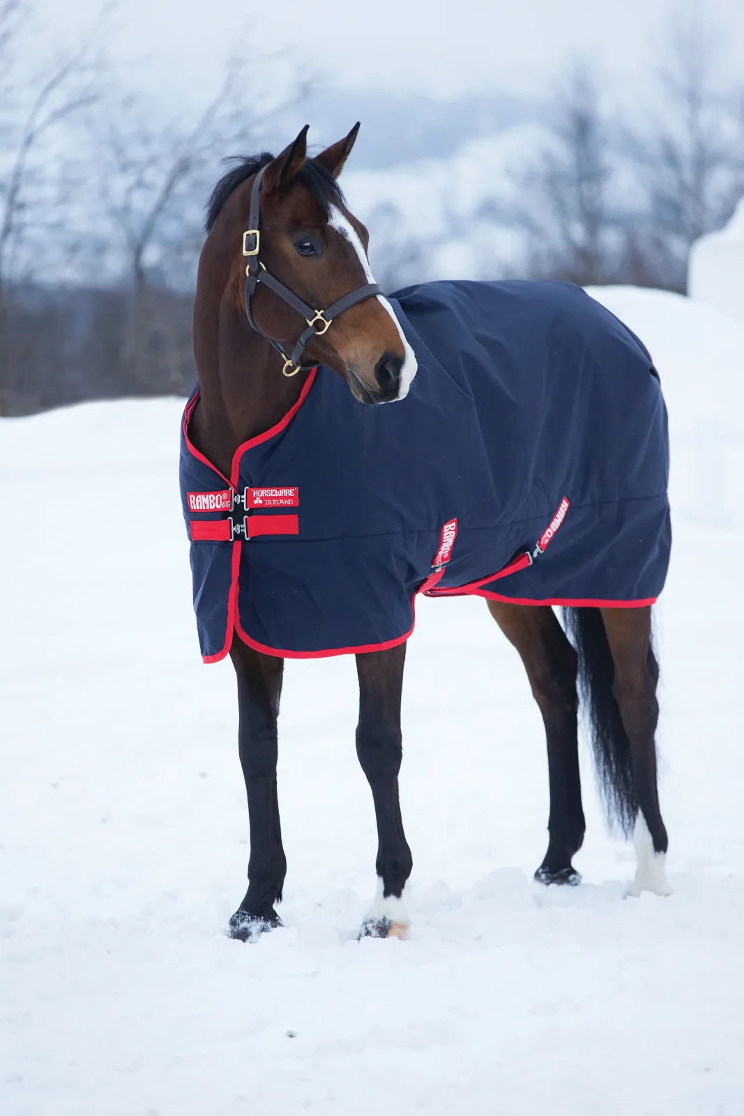 Horseware® Ireland Rambo® Original 1000D Medium-Weight Turnout Blanket–200G - Image 2