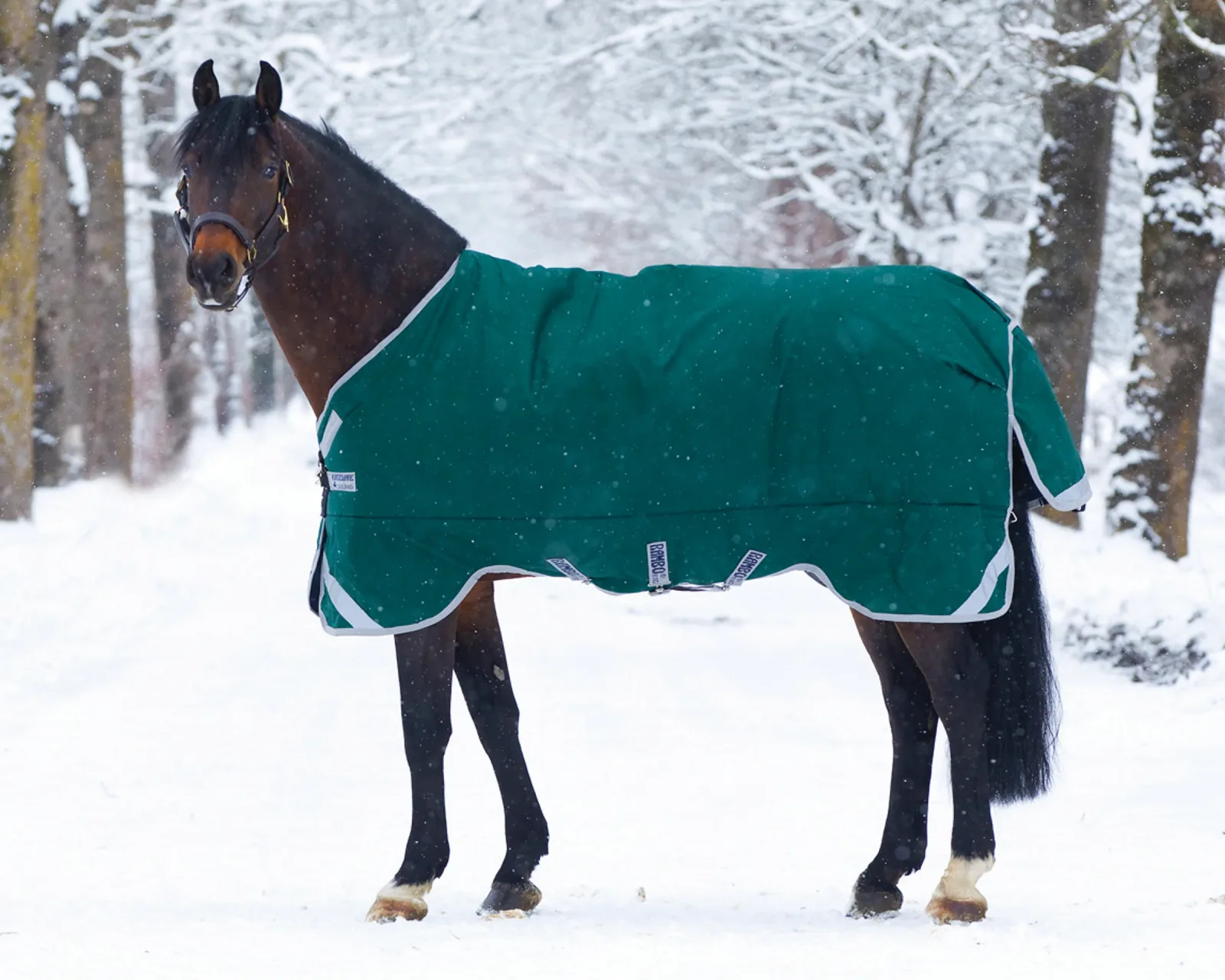 Horseware® Ireland Rambo® Original 400 Gram Heavyweight Turnout with Leg Arches™ - Image 2