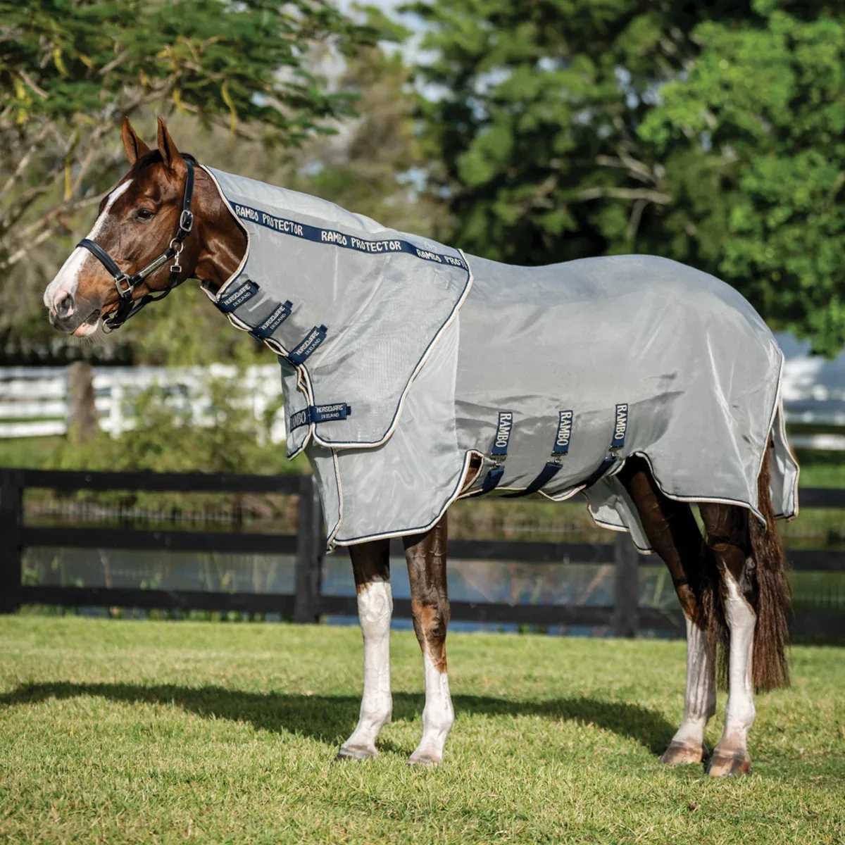 Horseware® Ireland Rambo® Protector Fieldsafe Plus - Image 2