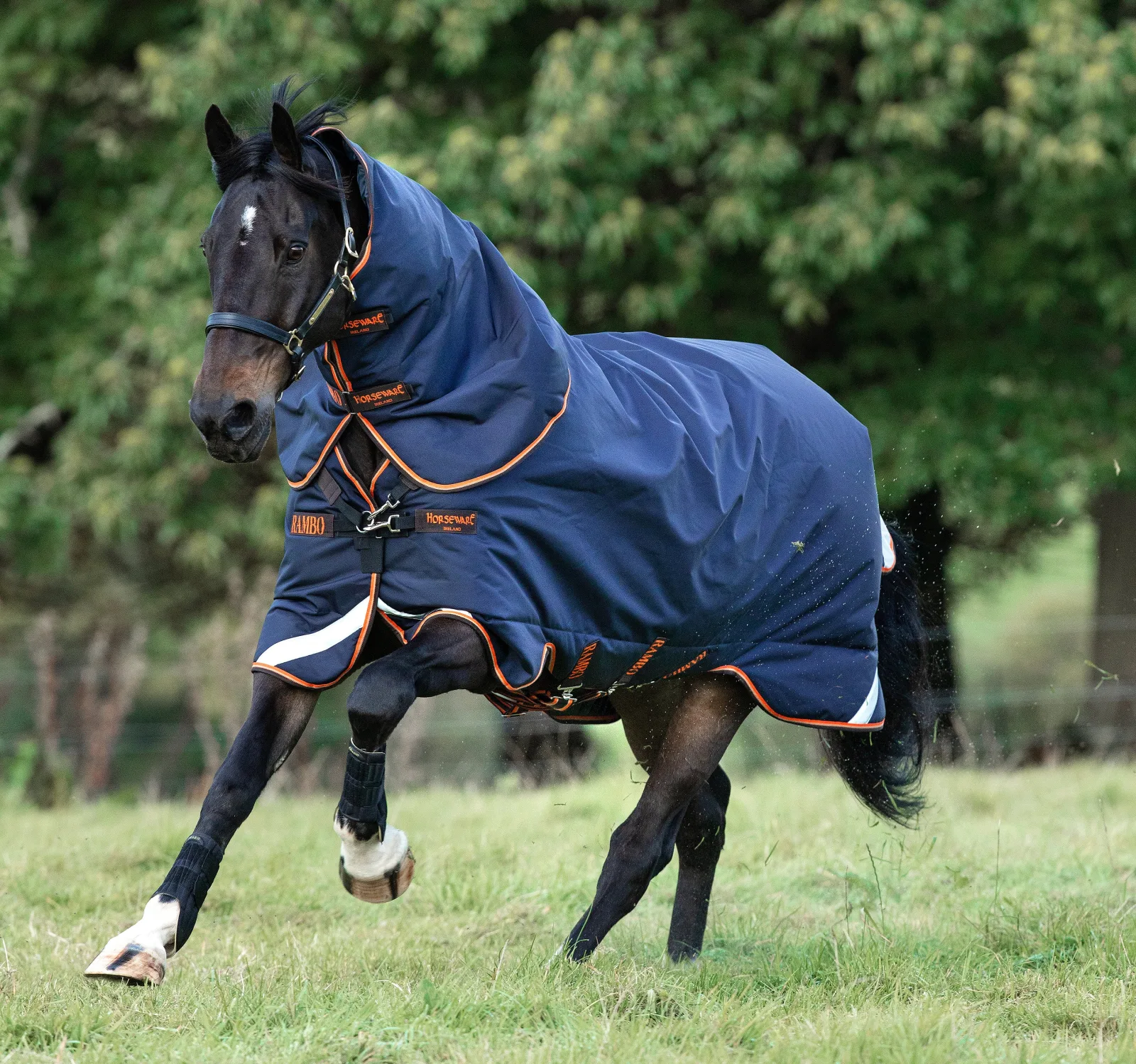 Horseware® Ireland Rambo® Supreme 50 Gram Lite Turnout - Image 2