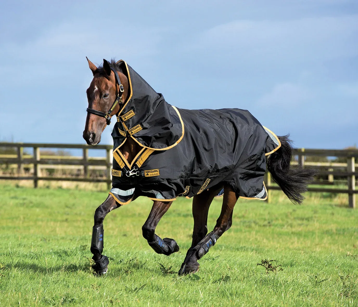 Horseware® Ireland Rambo® Supreme 50 Gram Lite Turnout