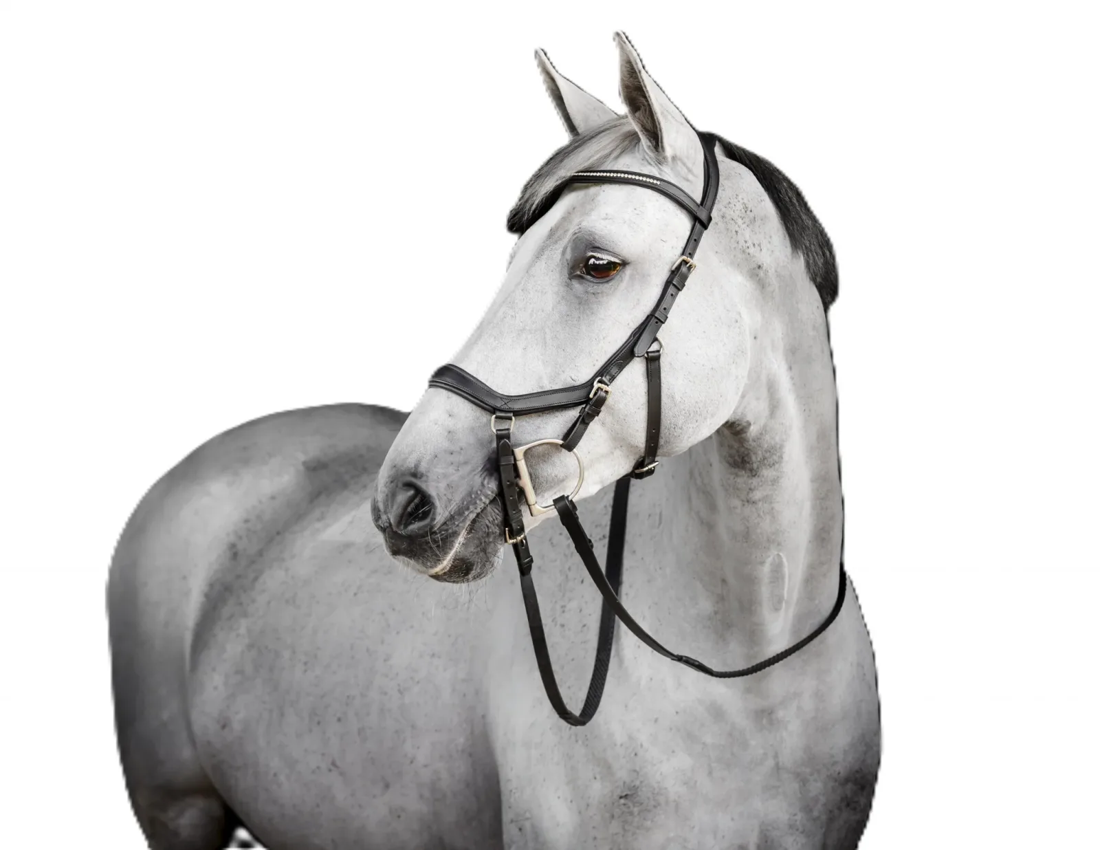 Horseware Micklem Diamante Competition