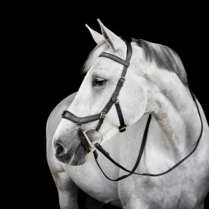 Horseware Micklem Multi Bridle