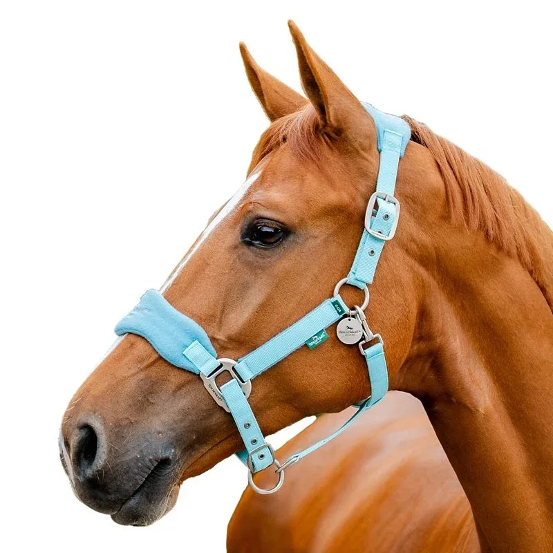 Horseware Sig Grooming Halter - Image 2