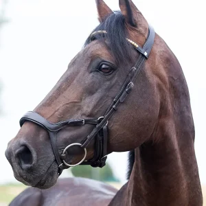 Horze Stewart Bridle