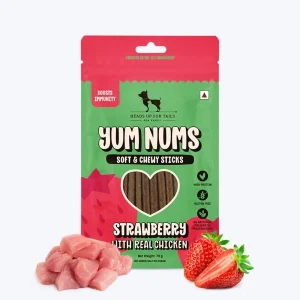 HUFT Yum Nums Soft and Chewy Strawberry with Real Chicken Grain Free Sticks Treats for Dogs