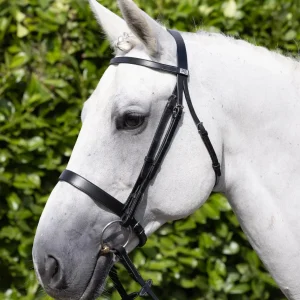 Hunter Snaffle Bridle Black