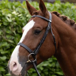 Hunter Snaffle Bridle Dark Havana