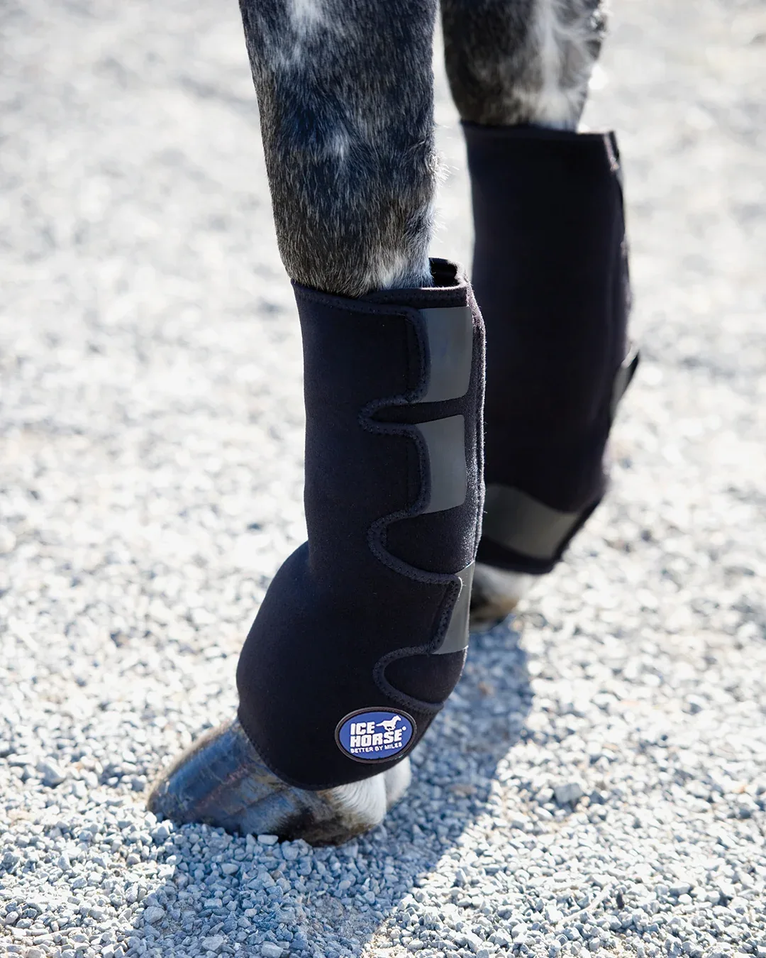 Ice Horse® Pony Suspensory Wrap - Pair