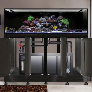 IM INT 240 Gallon Complete Reef System – Black (Made to Order)