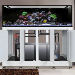 IM INT 240 Gallon Complete Reef System – White (Made to Order)