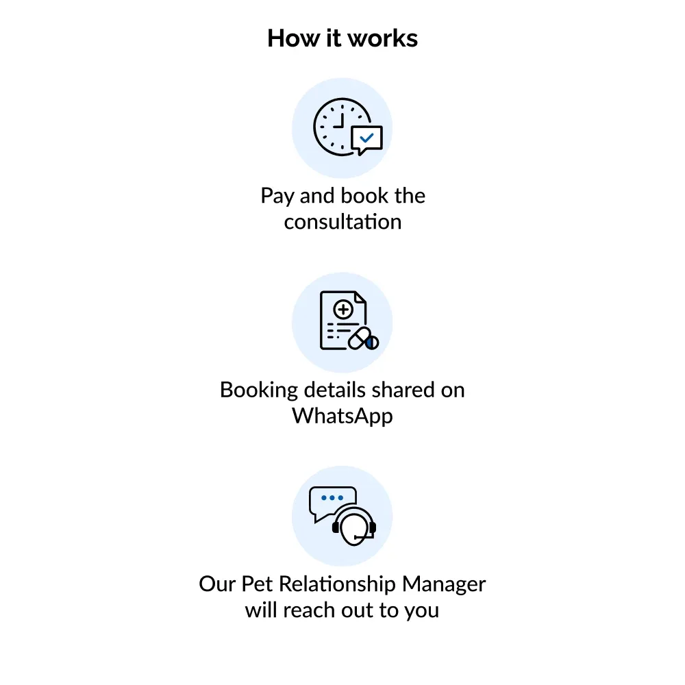 Instant Consultation (10 AM to 7 PM) - Image 2