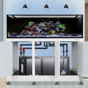 INT 200 Gallon Complete Reef System - White (Made To Order) - Innovative Marine