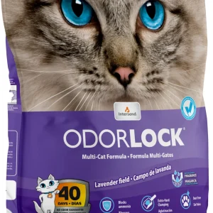 Intersand Odor Lock Clumping Cat Litter