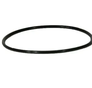 Iwaki O-Ring for the WMD & MD