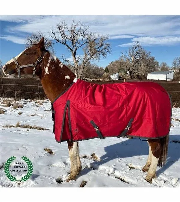 Jacks Atlas 600D Turnout Blanket with 300GM Lining - Image 2