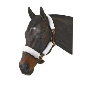 Jacks Halter Kit Set of 4 Black