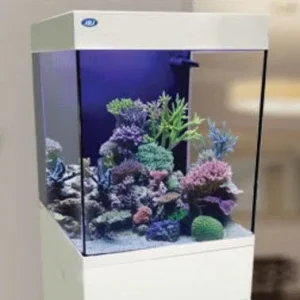 JBJ Aquarium - 20 Gallon White Cubey Midsize All In One Tank