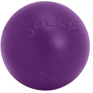 Jolly Pets Push-N-Play Jolly Ball 10" Blue