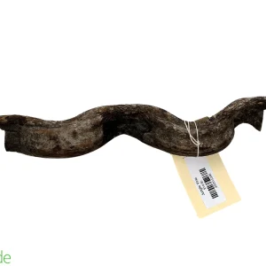 Jungle Branch