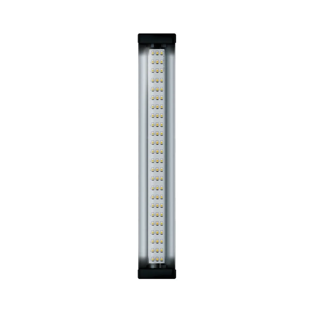 Jungle Dawn LED Bar (22.5", 34 Watt) - Image 2