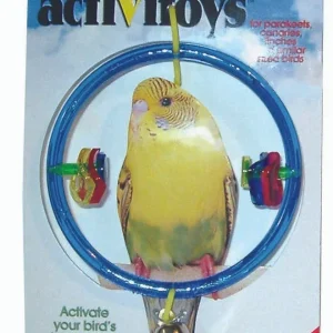 JW Pet ActiviToy Ring Clear Bird Toy Multi-Color SM/MD