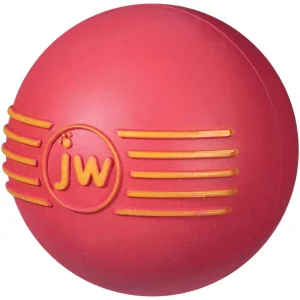 JW Pet iSqueak Ball Dog Toy Assorted MD