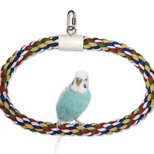 JW Pet Swing N Perch Ring Multi-Color LG
