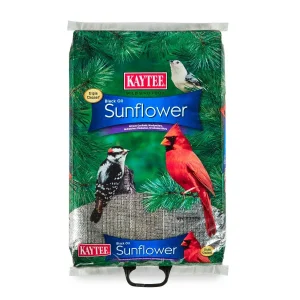 Kaytee Black Oil Sunflower Food 20 Pounds