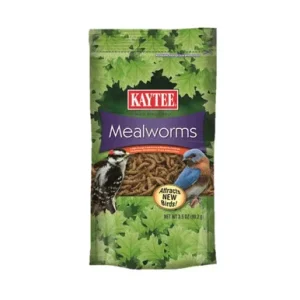 Kaytee Mealworms Wild Bird Food Treat