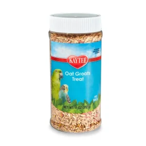 Kaytee Oat Groats Treat Jar - All Pet Birds 11 oz