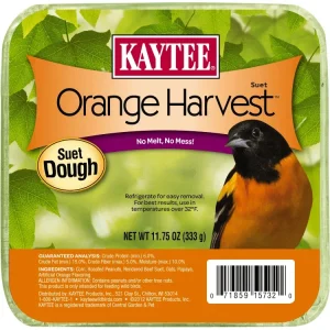 Kaytee Orange Harvest Suet Dough 11.75 Ounces