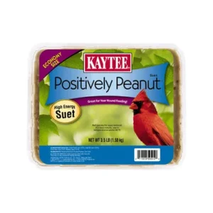 Kaytee Positively Peanut Suet Wild Bird Food
