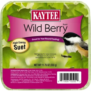 Kaytee Wild Berry High Energy Mini Suet 11.75 Ounces