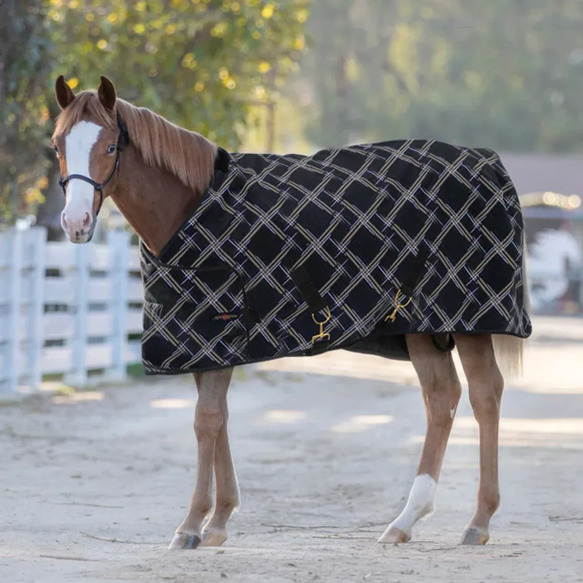 Kensington™ Adjustable Weanling Turnout Blanket - Image 2