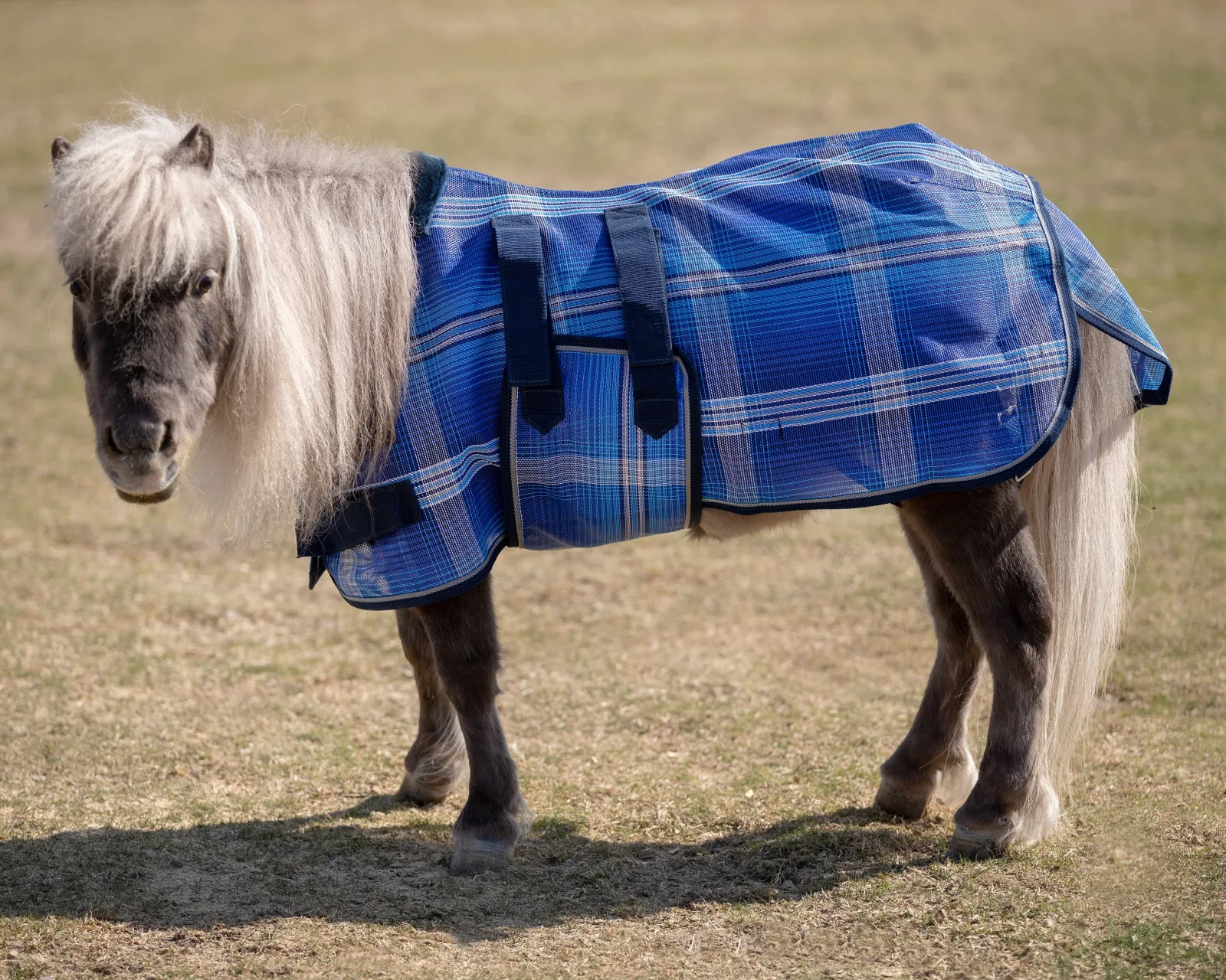 Kensington™ Mini Signature Textilene® Protective Fly Sheet - Image 2