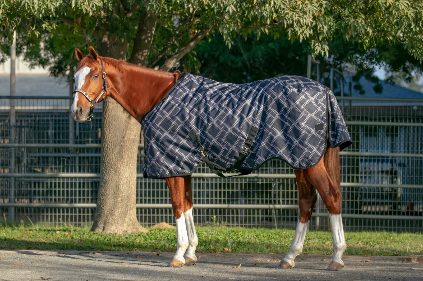 Kensington 1200D Turnout 300g