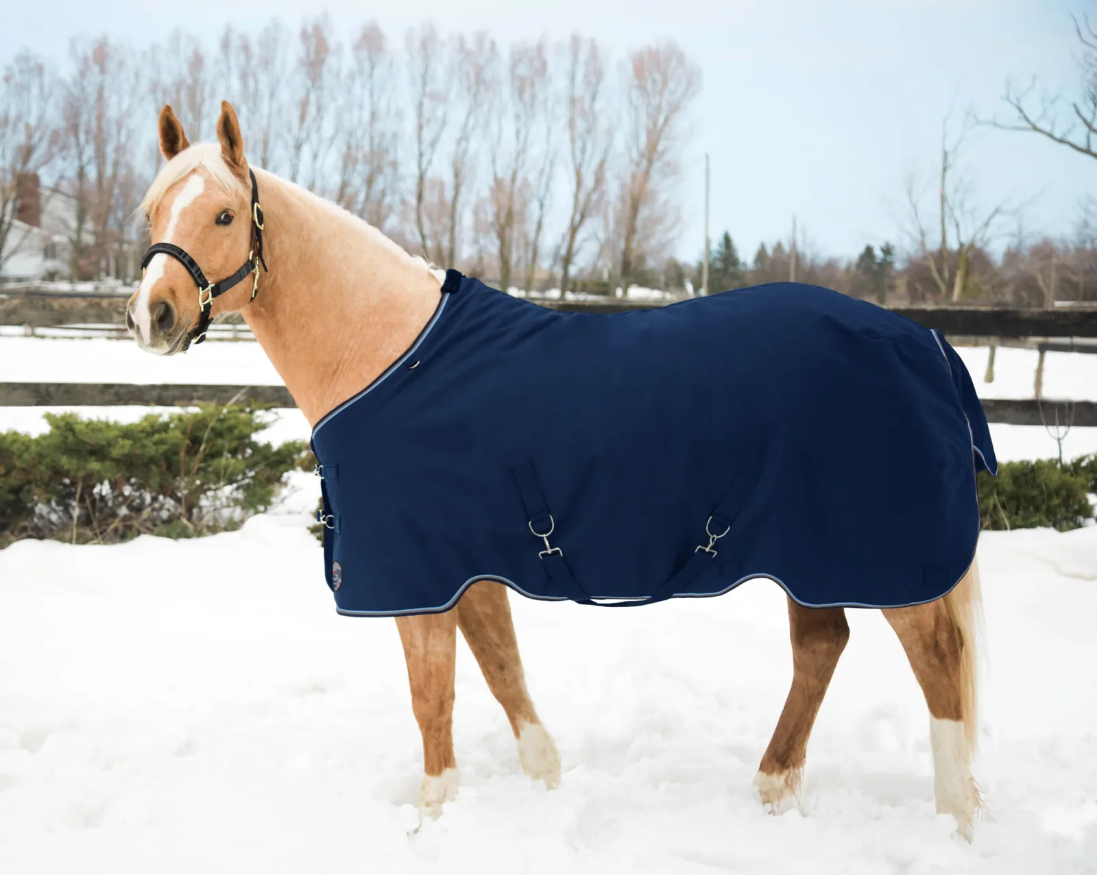 Kensington™ Pony Signature Heavyweight Turnout Blanket