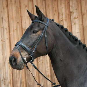 Kieffer Ergonomic III Snaffle Bridle