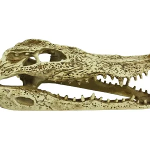 Komodo Alligator Skull Hideout