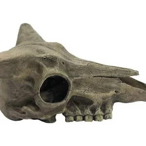 Komodo Deer Skull Reptile Hideout Gray One Size