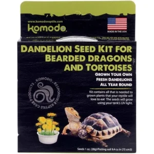 Komodo Grow Your Own Dandelion Seed Kit for Bearded Dragon & Tortoise 6.5 in