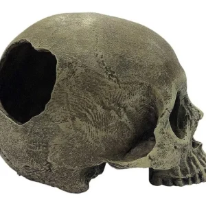 Komodo Half Human Skull Reptile Hideout Gray One Size