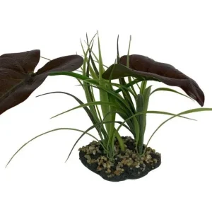 Komodo Rainforest Canopy Plant 1ea/10 in