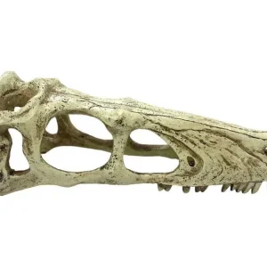 Komodo Raptor Skull Reptile Hideout Tan LG
