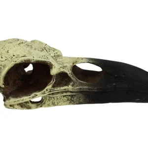 Komodo Raven Skull Hideout LRG