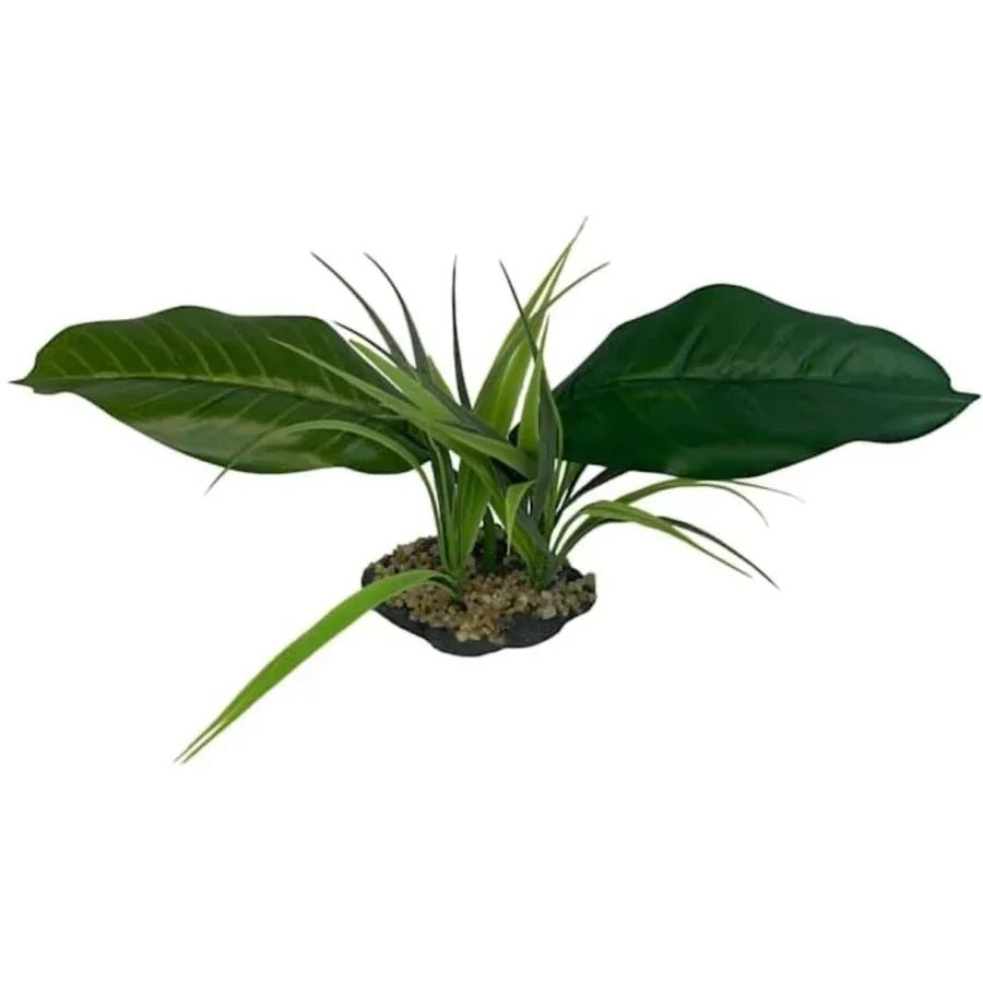 Komodo Woodland Canopy Terrarium Plant