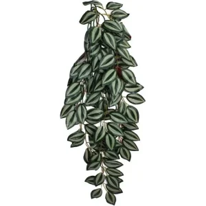 Komodo Zebrina Hanging Plant 1ea/LG, 24 in