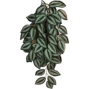Komodo Zebrina Hanging Plant 1ea/SM, 16 in